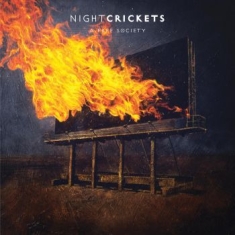 Night Crickets - A Free Society