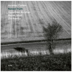 Avishai Cohen Quartet: Yonathan Avi - Naked Truth (Lp)