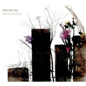 Bird In The Belly - After The City