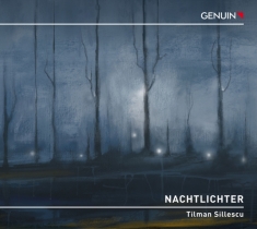 Sillescu Tilman - Nachtlichter