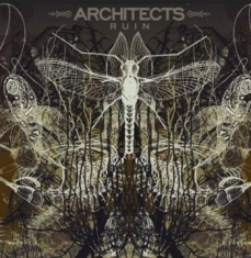Architects - Ruins