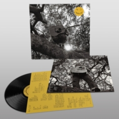 Segall Ty - 