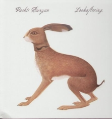 Vashti Bunyan - Lookaftering