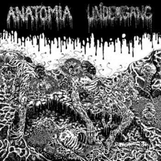 Undergang / Anatomia - Split Lp