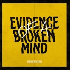Two And A Half Girl - Evidence Of A Broken Mind (Vinyl Lp