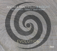 Brachfeld Andrea & Insight - Evolution
