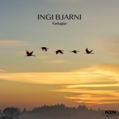 Ingi Bjarni - Farfuglar