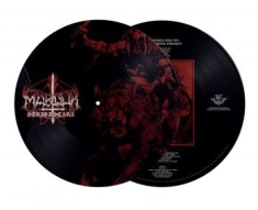 Marduk - Strigzscara Warwolf Live 1993 (Pic.