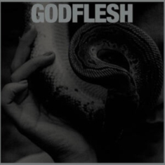 Godflesh - Purge (Vinyl Lp)