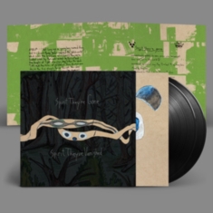 Animal Collective - Spirit They're Gone, Spirit They've