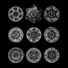 Zorn John & Bill Laswell - Memoria