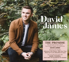James David - The Promise