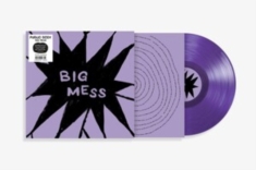 Public Body - Big Mess