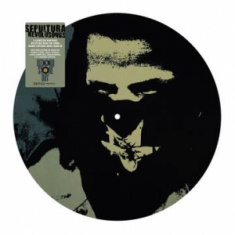 Sepultura - Revolusongs (Picture Disc) (Rsd)