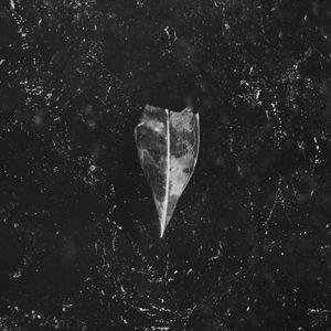 Bees Made Honey In The Vein Tree - Aion (Digipack)