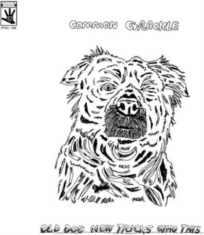 Common Grackle - Old Dog New Tricks Who This