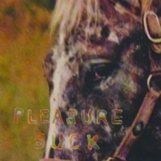 Spirit Of The Beehive - Pleasure Suck (Transparent Orange V