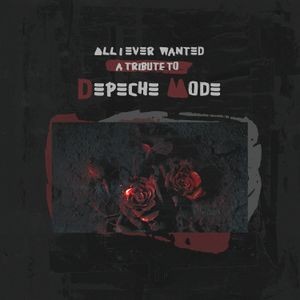 Blandade Artister - All I Ever Wanted - A Tribute To De