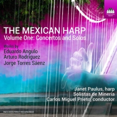 Angulo Eduardo Rodriguez Arturo - Angulo, Rodriguez & Saenz: The Mexi