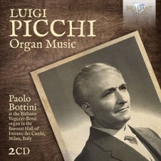 Picchi Luigi - Organ Music
