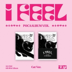 (G)I-DLE - 6th Mini Album (I feel)  PocaAlbum Ver. (Cat Ver.) (NO CD, ONLY DIGITAL CODE)