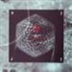 Saint James Society The - Bab(A/Y)Lon Rising in the group VINYL / Hårdrock,Pop-Rock at Bengans Skivbutik AB (488658)