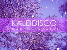 Paarse paraplu - Kaleidisco in the group VINYL / Pop at Bengans Skivbutik AB (488712)