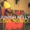 Junior Kelly - Love So Nice in the group VINYL / Reggae at Bengans Skivbutik AB (494612)