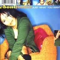 Foster Eboni - Just What You Want in the group CD / Pop at Bengans Skivbutik AB (501837)