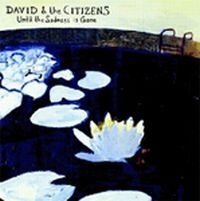 David And The Citizens - Until The Sadness Is Gone in the group CD / Pop-Rock,Svensk Musik at Bengans Skivbutik AB (503413)