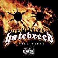 Hatebreed - Perseverance in the group CD / Hårdrock,Pop-Rock at Bengans Skivbutik AB (505255)