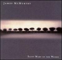 Mcmurtry James - Saint Mary Of The Woods in the group CD / Rock at Bengans Skivbutik AB (506751)