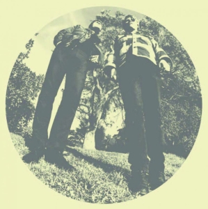 Segall Ty & White Fence - Hair