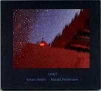 Hedin Johan & Harald Pettersson - Skikt in the group CD / Elektroniskt at Bengans Skivbutik AB (517853)