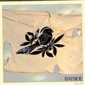 Bayside - Walking Wounded in the group CD / Rock at Bengans Skivbutik AB (530038)