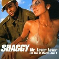 Shaggy - Best Of 1 in the group CD / Reggae at Bengans Skivbutik AB (538197)