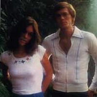 Carpenters - Horizon in the group CD / Pop at Bengans Skivbutik AB (544230)