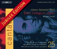 Bach Johann Sebastian - Cantatas Vol 25