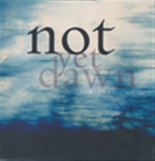 Blandade Artister - Not Yet Dawn