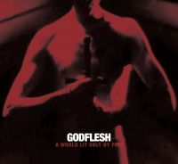 Godflesh - A World Only Lit By Fire (White Vin