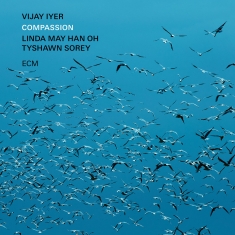 Vijay Iyer W. Linda May Han Oh & Ty - Compassion