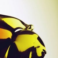 Hooray For Earth - True Loves