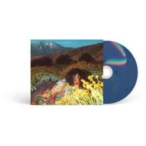 Brittany Howard - What Now