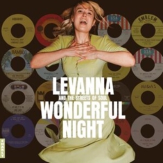 Various Artists - Wonderful Night Curated By Levanna