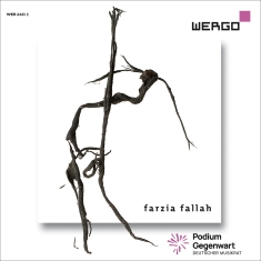 Farzia Fallah - Works