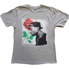 Tupac - Rose Uni Grey   