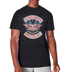 Aerosmith - Boston Pride Snow Wash Uni Bl   