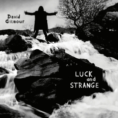 David Gilmour - Luck And Strange (Black Gatefold LP)