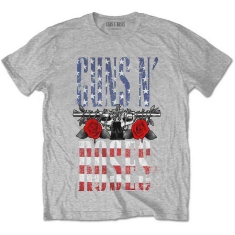 Guns N Roses - Us Flag In Logo Uni Grey    S