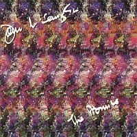John McLaughlin - Promise in the group CD / Jazz/Blues at Bengans Skivbutik AB (554306)
